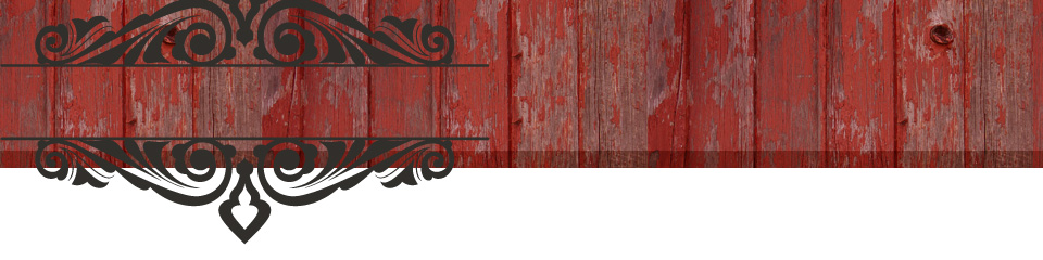 Header Graphic